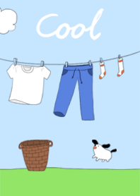 Cool Laundry
