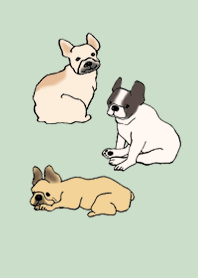狗 法國鬥牛犬_綠色