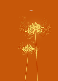 Lycoris golden Background orange