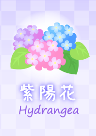 Hydrangea-2