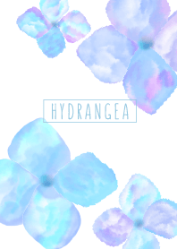 Watercolor:hydrangea WV