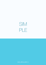 Q42.24.blue3-3