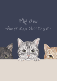 Meow - American Shorthair - DUSTY NAVY