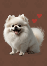 Cute Pomeranian Theme Brown 02