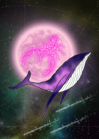 天蝎座和鲸鱼-紫色-