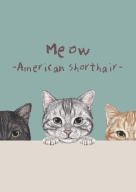 猫! - アメショ - 青緑色