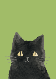 A unique cat05 moss green