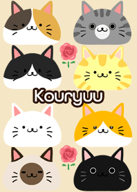 Kouryuu Scandinavian cute cat3