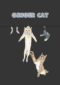 gingercat3 - carbon