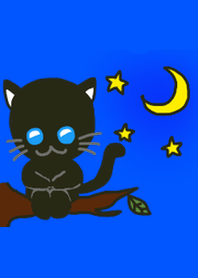 cute cute black black cat Theme