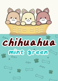 chihuahua theme17 mint green