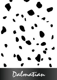 Dalmatian -GlossyBlack-