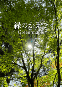 "Green maple" theme