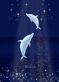 Dance of Dolphins. Ver79