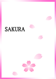 cherry blossoms(sakura)