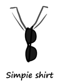 Simple shirt and sunglasses