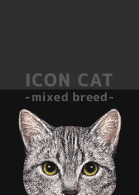 ICON CAT - Mixed breed cat - BLACK/18