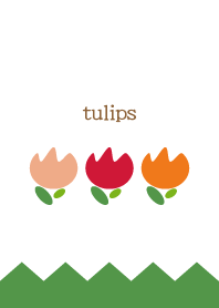 a theme of colorful tulips