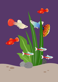 ตู้ปลาเสมือนจริง!(ม่วงทึบ)