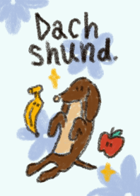 Browni the Dachshund !