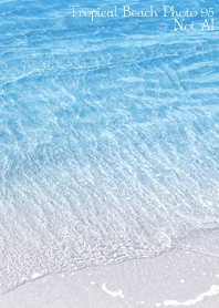 Tropical Beach Photo95 Not AI