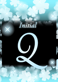 【Q】イニシャル❤️お花-水色×黒-