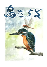 Birds.