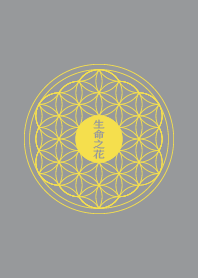 Geometry flower