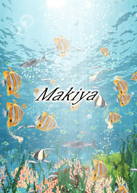 Makiya Coral & tropical fish