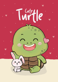 Turtle Cute lover.