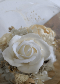 Background - Flowers 51b3b8