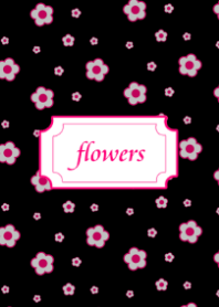 black & pink flowers.