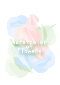 Watercolor of flowers