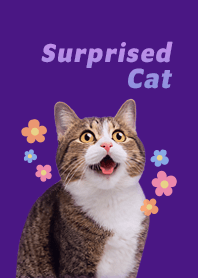 Surprised cat and cute flowers | PURPLE