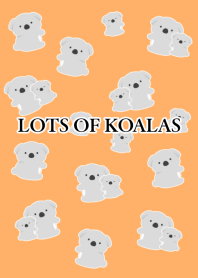 LOTS OF KOALAS/ORANGE