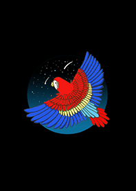 Parrot into light Night