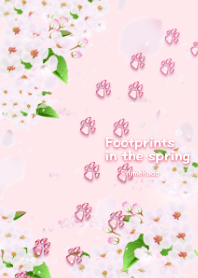 Footprints in the spring(paw pads)