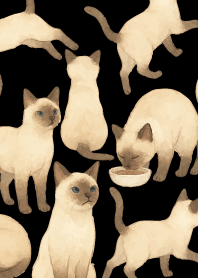 Siamese cat holiday05 on black