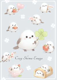 Blue shimaenaga - A heartwarming day.