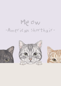 Meow- American Shorthair -PASTEL PURPLE