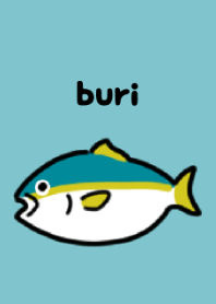 ぴちぴちブリ