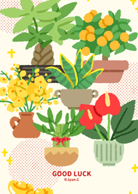 Foliage Plants 10