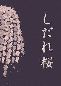 Weeping cherry blossom + indigo [os]