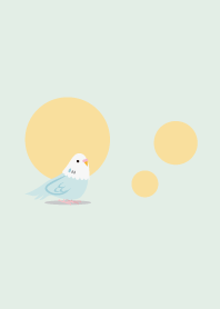 Budgerigar simple green