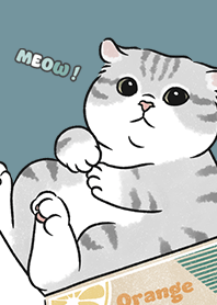neko single15 - teal blue