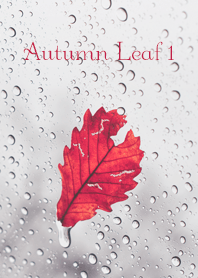 Autumn Leaf 1