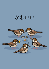 雀食可愛(夏日藍)