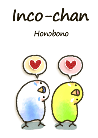 インコちゃん