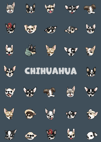 chihuahua2 / indigo