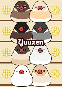 Yuuzen Round and cute Java sparrow
